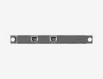 H_2xRJ45 IP Input Card Full Back
